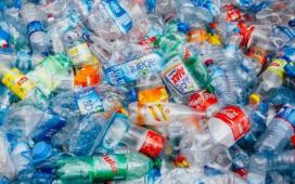 Ученые случайно произвели фермент, который пожирает пластик