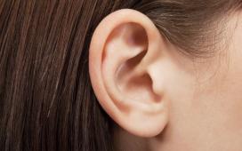 Исследователи лечат дефект уха путем выращивания имплантатов из клеток