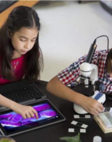 Dell представила портативные ноутбуки Latitude 11 для школьников и студентов