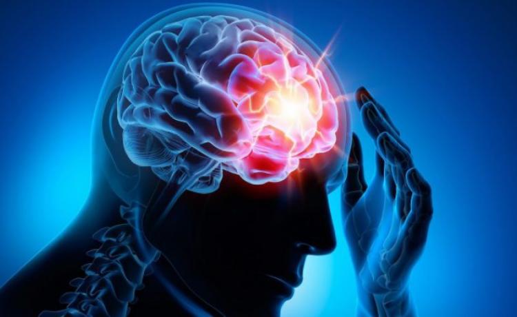 Мозговой имплант помог вылечить эпилепсию у мышей