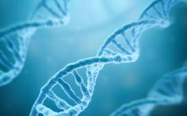 Наука делает шаг к кодированию вирусосохраняющих клеток человека