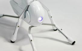 Antbo – собери робота-муравья своими собственными руками