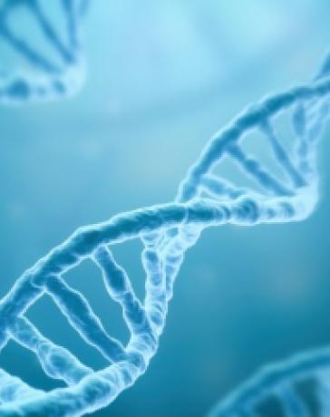 Наука делает шаг к кодированию вирусосохраняющих клеток человека